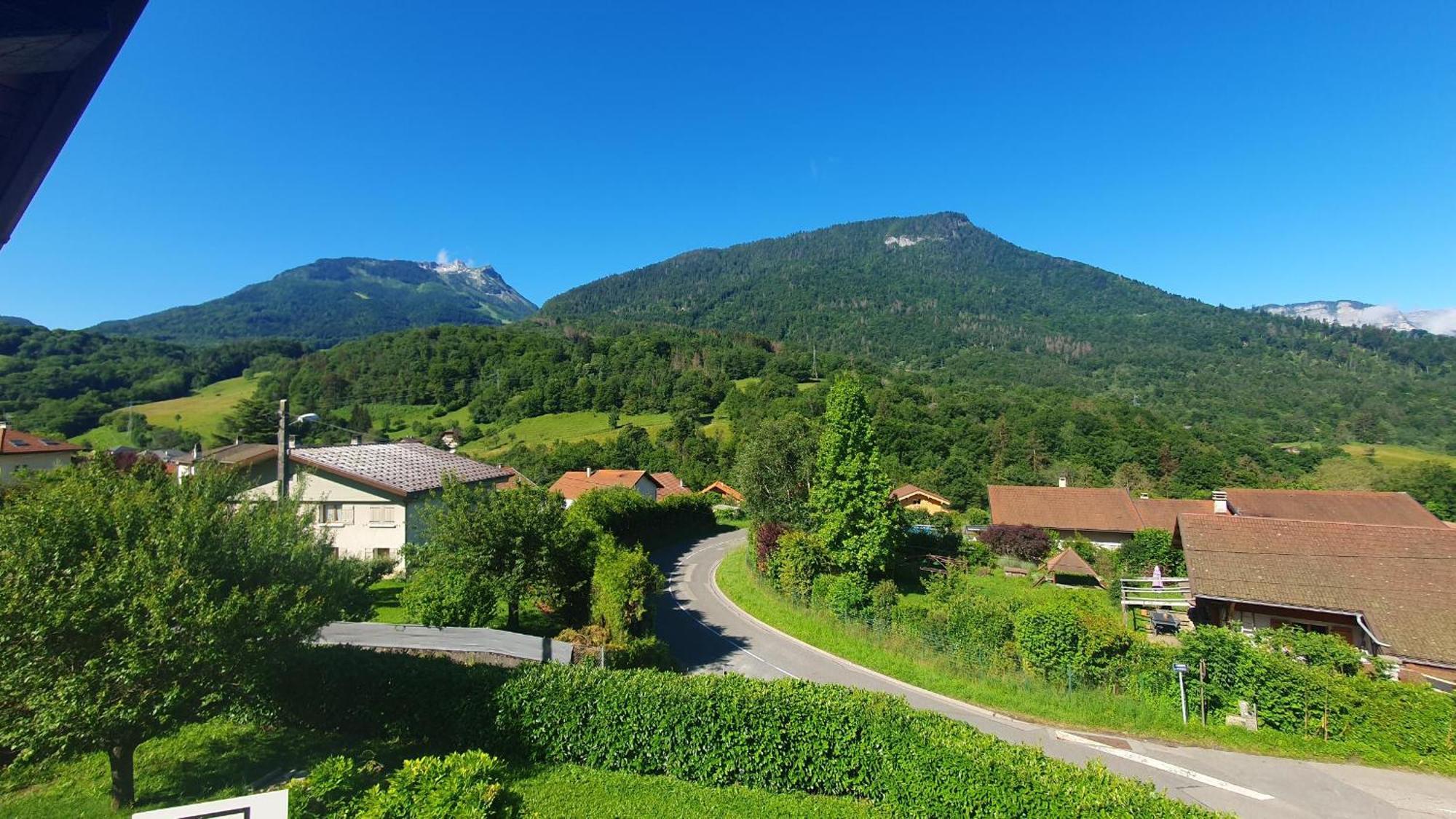 Agreable T3 Entre Lac Et Montagne Seythenex Eksteriør billede