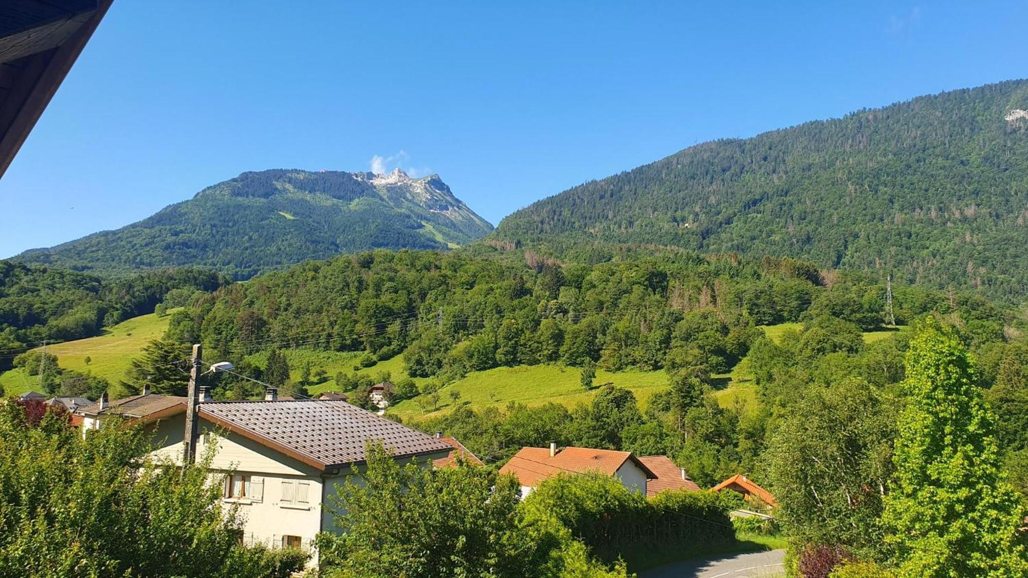 Agreable T3 Entre Lac Et Montagne Seythenex Eksteriør billede
